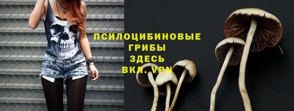 сатива Алексин