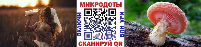 купить наркотики цена  Невинномысск  Псилоцибиновые грибы Psilocybine cubensis 